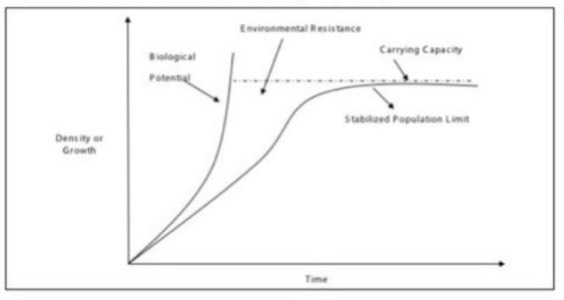 Minh họa về sức tải.