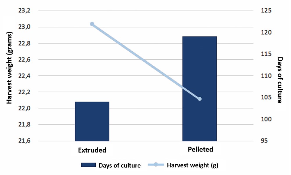 Quá trình thủy phân bằng enzym các phụ phẩm từ biển