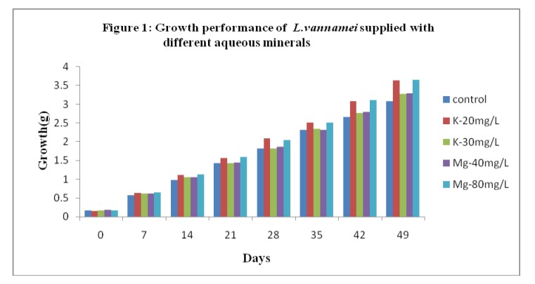 Hiệu suất tăng trưởng của tôm L.vannamei khi được bổ sung các khoáng chất khác nhau vào nước