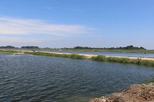 Hình ảnh ao thực nghiệm