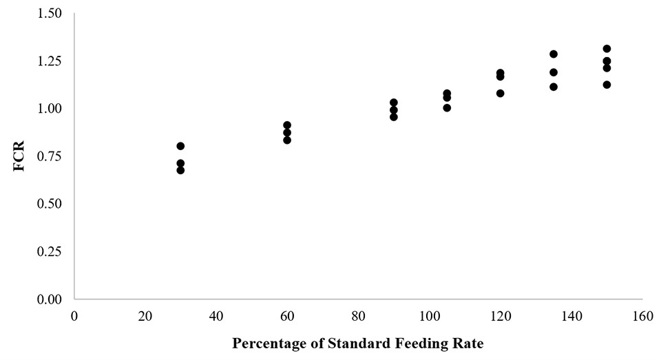 Mối quan hệ giữa FCR và tỷ lệ cho ăn trong nghiên cứu