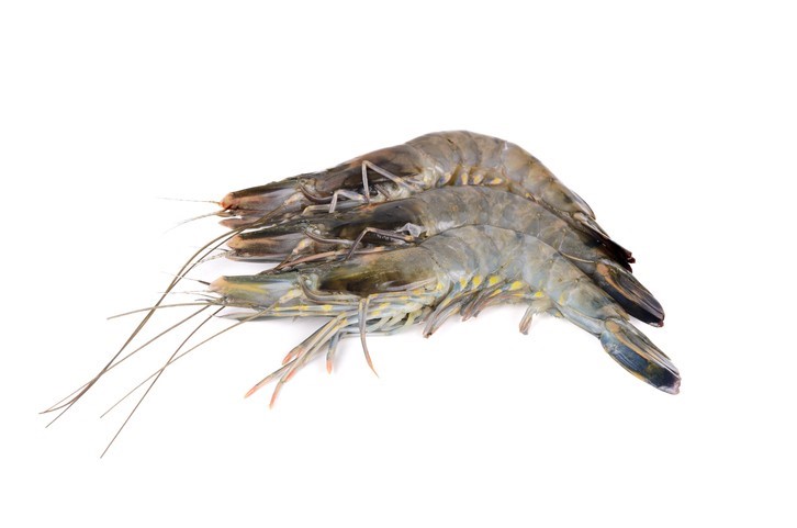 Nghiên cứu được công bố trên Aquaculture Reports.