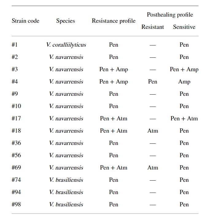 Plasmid trung gian kháng kháng sinh ở vi khuẩn Vibrio được phân lập từ dịch tương của tôm thẻ chân trắng Litopenaeus vannamei