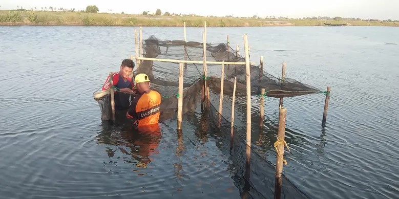 Quá trình thả giống đóng một vai trò quan trọng trong sự thành công cuối cùng của phương pháp nuôi ghép này