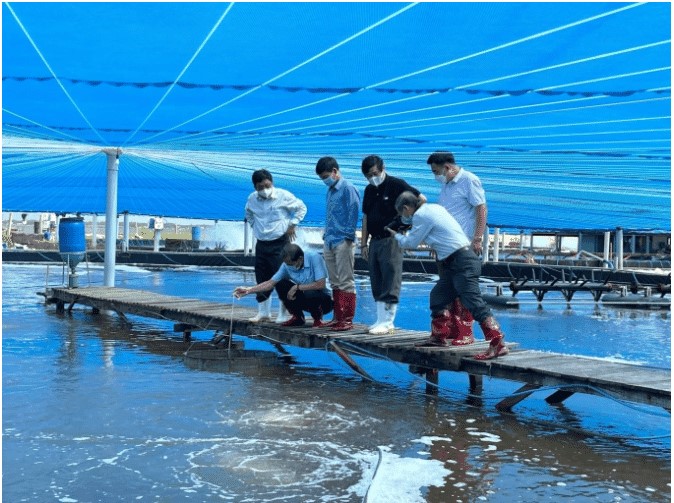 Hệ thống Semi Biofloc đang được thử nghiệm ở các huyện khác nhau của Việt Nam