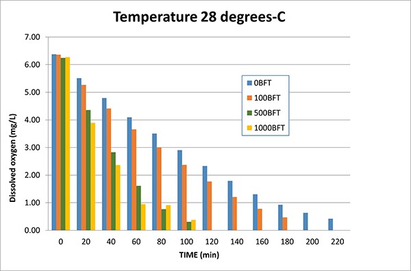 Hình 1 Mức tiêu thụ oxy hòa tan của tôm thẻ Litopenaeus vannamei chưa trưởng thành