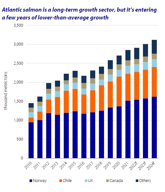 Thu hoạch cá hồi Đại Tây Dương, bao gồm cả những dự đoán trong tương lai từ năm 2010-2024