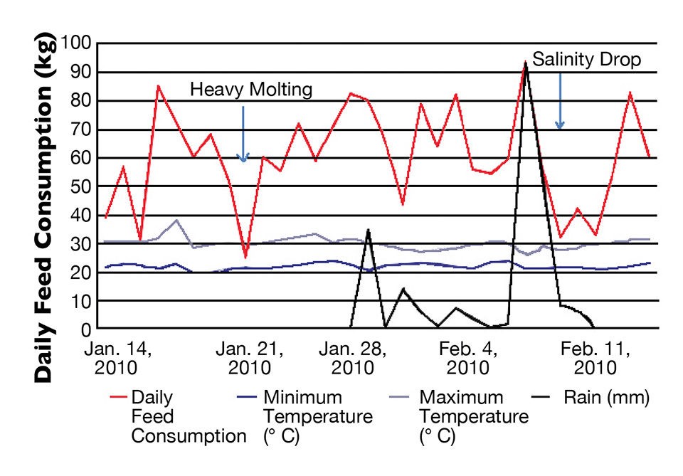 Mức tiêu thụ thức ăn hàng ngày của tôm với các thông số môi trường có liên quan