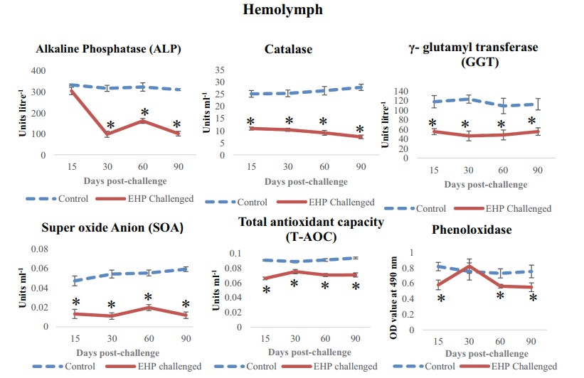 Alkaline phosphatase