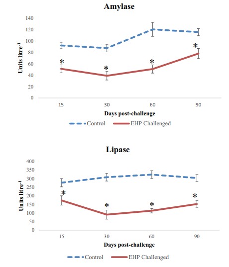Hoạt động của enzym α-amylase (A) và lipase (B) trong HP của nhóm cảm nhiễm EHP
