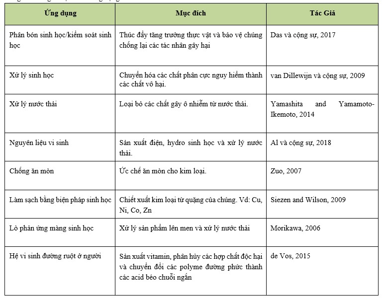 Những ví dụ về các ứng dụng của biofilm vi khuẩn