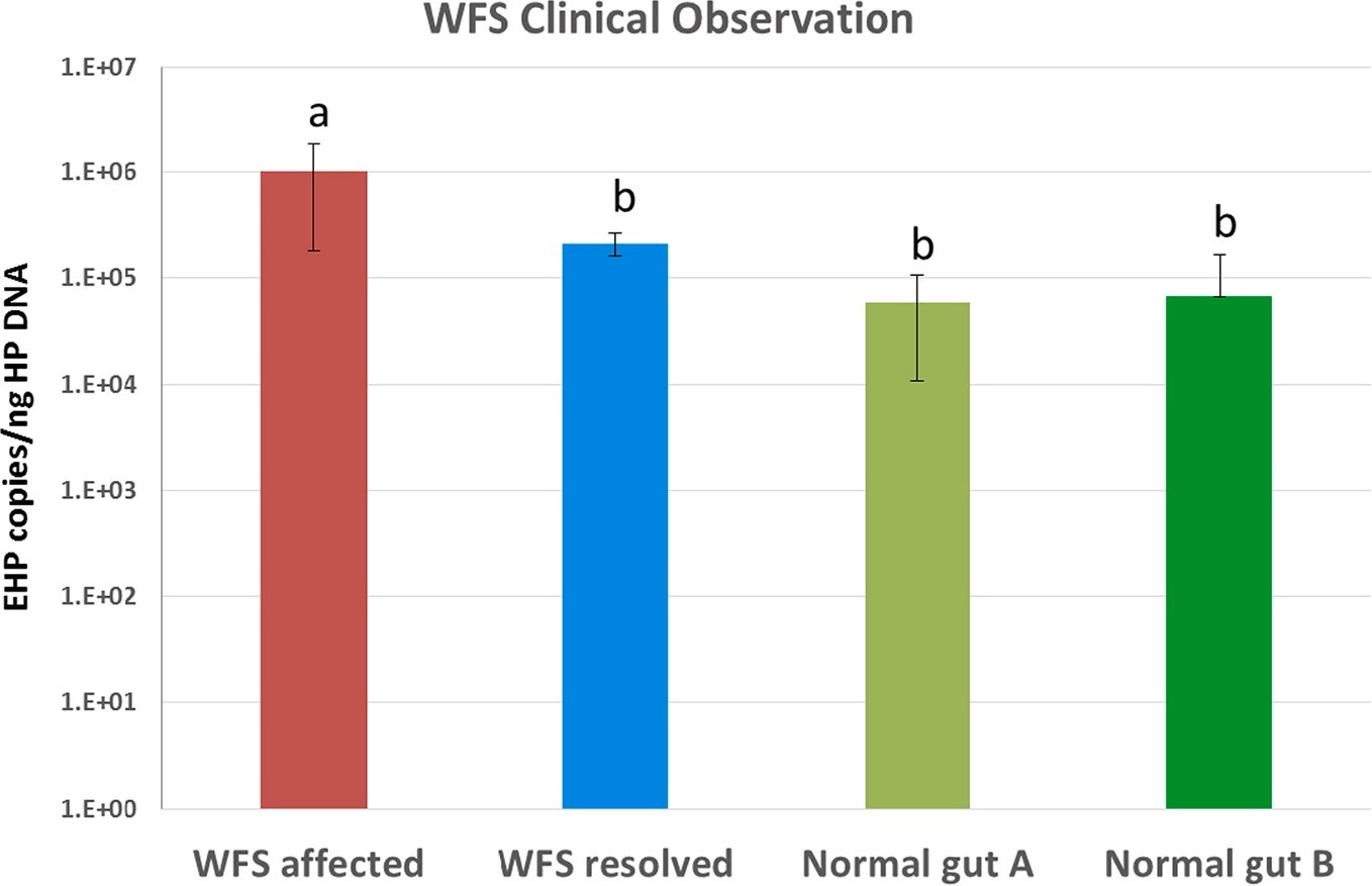 Thử nghiệm sinh học