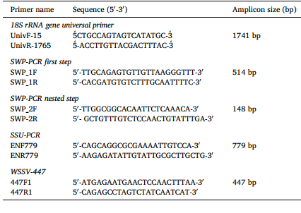 Các mồi PCR được sử dụng trong nghiên cứu và kích thước amplicon dự kiến ​​của chúng
