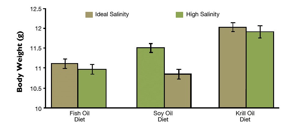 Hình 1. Trọng lượng cuối cùng của tôm sau 64 ngày nuôi.