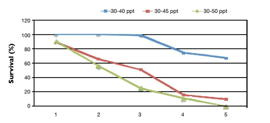 Hình 2. Tỷ lệ sống tích lũy của tôm sau khi độ mặn của nước tăng đột ngột.