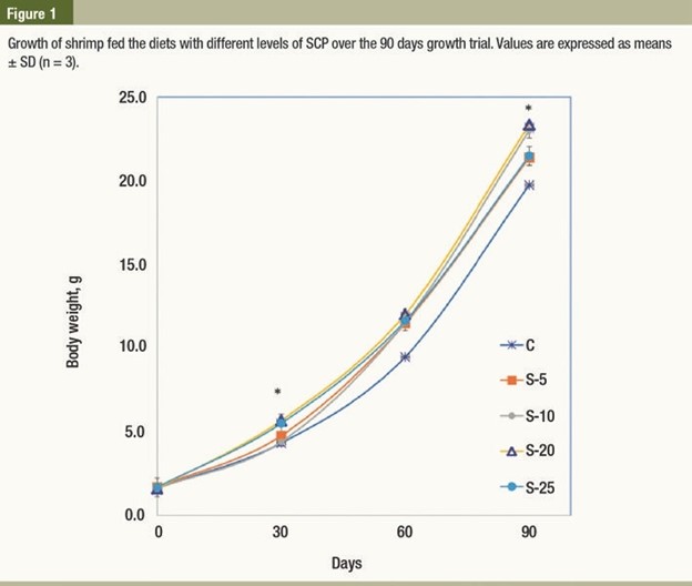 Không có sự khác biệt đáng kể (p > 0,05) về hàm lượng protein, lipid và tro giữa các nhóm P. vannamei khác nhau.