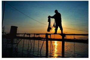 Ngành tôm Việt Nam đang ghi nhận tốc độ phát triển ấn tượng, với tiềm năng đóng góp ngày càng lớn cho nền kinh tế quốc gia. Mục tiêu xuất khẩu đạt 10 tỷ USD vào năm 2025