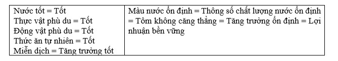 Quản lý màu nước hiệu quả là bí quyết then chốt giúp tối ưu hóa lợi nhuận cho người nuôi tôm. 