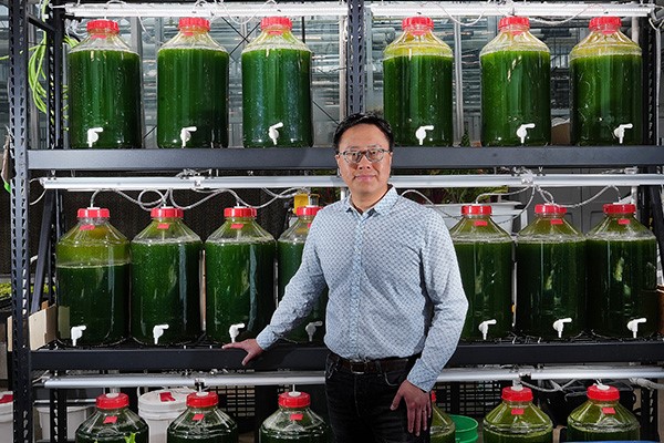 Bốn nghiên cứu chứng minh rằng các phương pháp mới có thể làm sạch nước thải nuôi trồng thủy sản một cách hiệu quả. Nguồn ảnh: Truyền thông Nông nghiệp Purdue/Tom Campbell.
