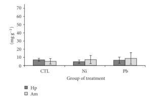Hình 3: Nồng độ Glycogen (mg/ g; trung bình ± sd) trong gan tụy (Hp) và cơ bụng (Am) của tôm thẻ chân trắng Penaeus vannamei sau 10 ngày điều trị. ∗Khác biệt đáng kể so với đối chứng (P