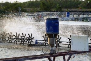 Máy cho tôm ăn tự động - Khoản đầu tư hiệu quả trong nuôi trồng thủy sản