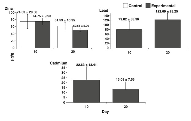 Hình 1 Tổng nồng độ kim loại (tính bằng µg/g; trung bình ± SD) đối với Zn, Pb và Cd ở P. vannamei sau 10 ngày phơi nhiễm với một dung dịch kim loại duy nhất (CTL đối chứng 0, được xử lý bằng kim loại) và hỗn hợp của chúng ( kim loại-Mx)