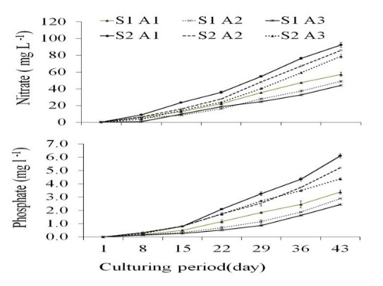 Hình 2: Nồng độ nitrat và phốt phát tổng số trong các nghiệm thức trong thời kỳ nuôi kết hợp tôm thẻ chân trắng Litopenaeues vannamei với Gracilaria corticata (Mean ± SE).