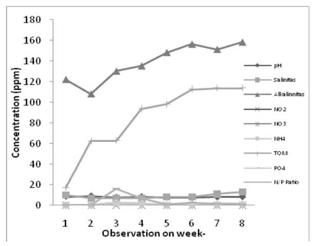 Hình 5. Chất lượng nước hàng ngày trong nuôi tôm thẻ chân trắng.