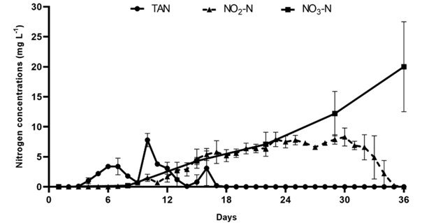 Hình 1. Sự thay đổi nồng độ hợp chất nitơ (mg/ L) trong nước có độ mặn thấp thử nghiệm trong suốt quá trình hình thành biofloc 36 ngày. TAN: tổng cộng nitơ amoni; NO2−-N: nitrit-nitơ; NO3−-N: nitrat-nitơ.