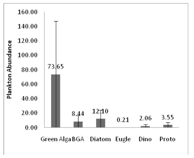 Hình 4. So sánh độ phong phú của sinh vật phù du trong nuôi tôm thẻ chân trắng