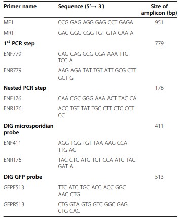 Bảng 1 Trình tự mồi được sử dụng