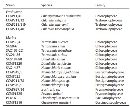 Bảng 1 Danh sách các chủng tảo được sử dụng trong nghiên cứu này.