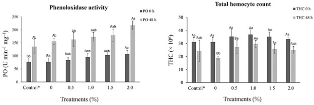 Hình 1: Phản ứng miễn dịch (trung bình ± độ lệch chuẩn) đối với hoạt động của phenoloxidase (PO) và tổng số tế bào máu (THC) của tôm thẻ chân trắng P. vannamei (13,3 ± 0,3 gam) trước (0 giờ) và sau cảm nhiễm (48 giờ) với Vibrio alginolyticus (5,0 × 106 CFU) sau 30 ngày bổ sung khẩu phần ăn bằng chiết xuất thô từ Porphyridium cruentum. (AB) Các chữ cái viết hoa khác nhau trong cùng một cột chỉ ra sự khác biệt đáng kể (p < 0,05) giữa thời gian trước và sau cảm nhiễm. (ab) Các chữ cái viết thường khác nhau trong cùng một dòng chỉ ra sự khác biệt đáng kể (p < 0,05) giữa các nghiệm thức. (*) Tôm được tiêm dung dịch nước muối.
