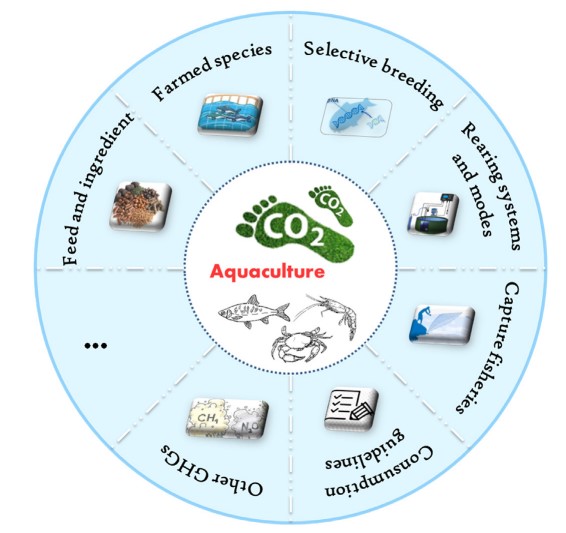 Hình 1. Các lĩnh vực can thiệp đầy hứa hẹn để giảm phát thải carbon trong nuôi trồng thủy sản có liên quan chặt chẽ đến các hoạt động vận hành (trong trang trại) và các chiến lược (ngoài trang trại).