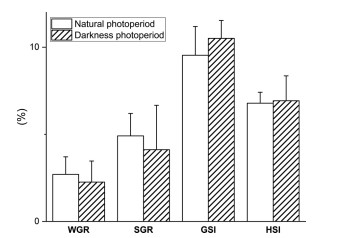 Hình 1. Ảnh hưởng của hai điều kiện ánh sáng: bóng tối hoàn toàn và điều kiện ánh sáng bình thường đến các thông số sinh trưởng và sinh sản của Scylla paramamosain cái. Sự khác biệt đáng kể được biểu thị bằng dấu * (P < 0,05). Giá trị là trung bình (± SD).