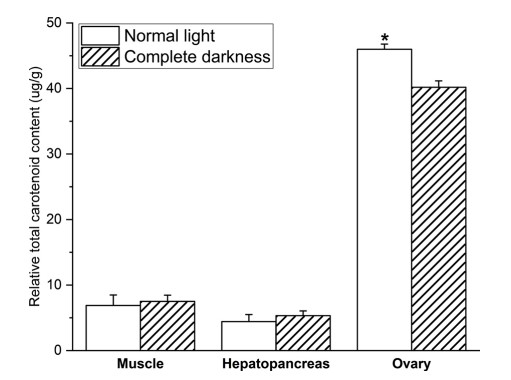 Hình 2. Hàm lượng carotenoid tổng số tương đối (TTCC; ug/g) trong các mô khác nhau (Buồng trứng, gan tụy và cơ) của Scylla paramamosain trong các điều kiện ánh sáng khác nhau. Sự khác biệt đáng kể được chỉ ra bằng dấu * (P < 0,05). Các giá trị là trung bình (± SD).