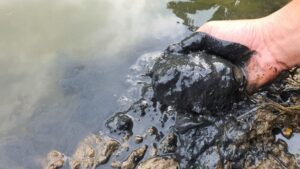 Ảnh: Đáy ao ô nhiễm