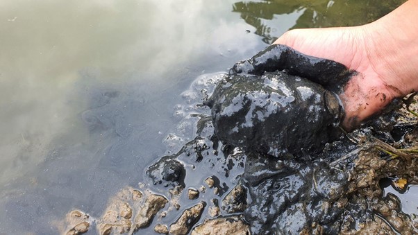 Ảnh: Đáy ao ô nhiễm