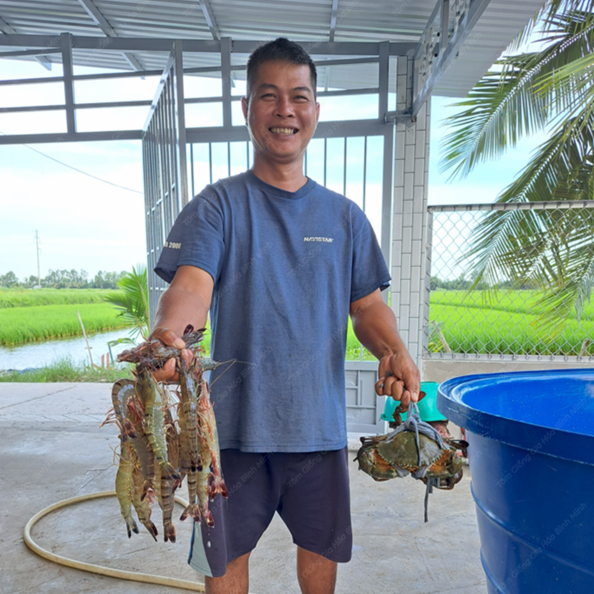 Hộ nuôi khu vực An Giang